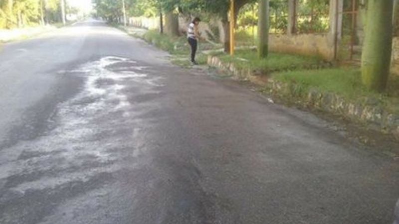 "Por favor tomemos conciencia"