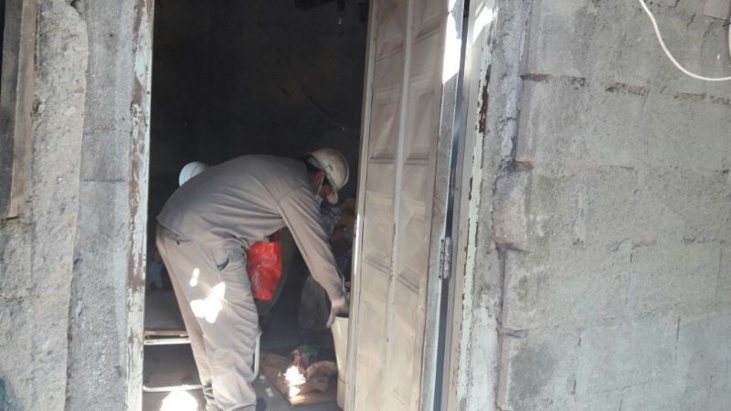 Trabajan para la erradicación de vinchucas