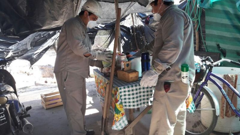 Trabajan para la erradicación de vinchucas