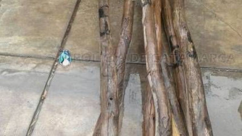 Recuperan puntales de madera robados
