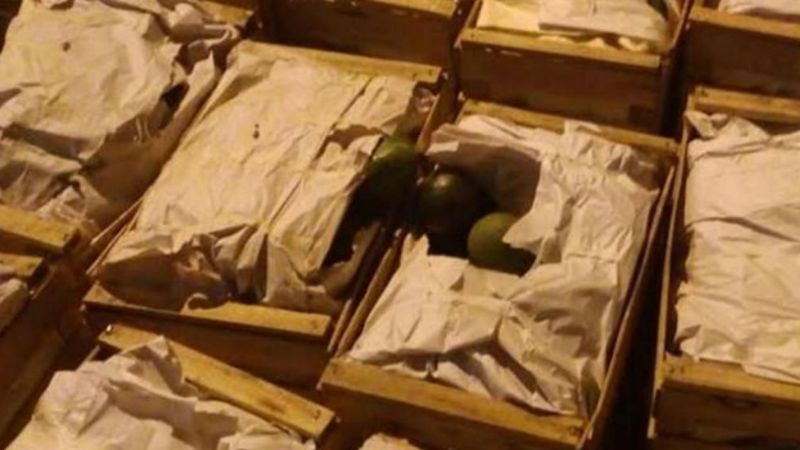 Secuestran más de dos toneladas y media de marihuana en Córdoba