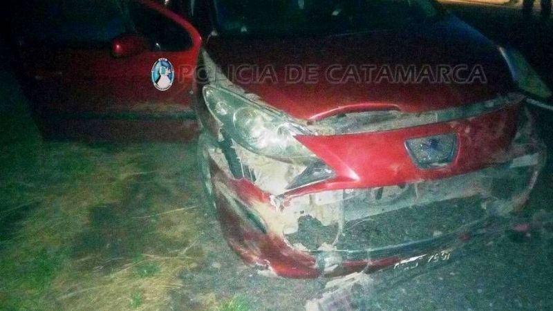 Dos heridos tras chocar contra dos animales en la ruta 33