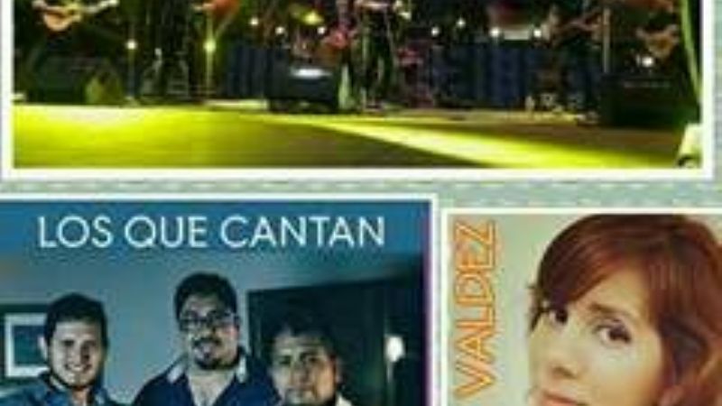 10° Festival de "La Flor y el Paisaje Apoyaco 2017"