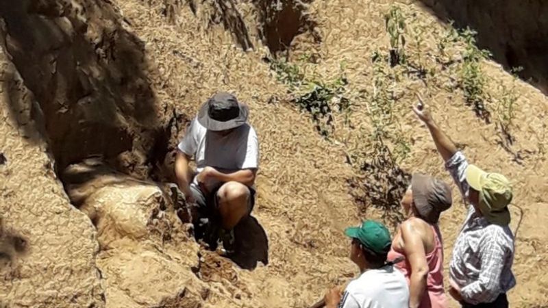 Comenzó el rescate del gliptodonte de Famaillá