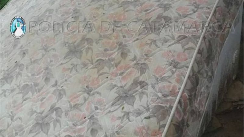 Allanamientos positivos en Capital y FME