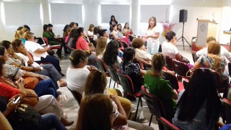 Taller sobre estrategias para la captación temprana de la embarazada y control prenatal