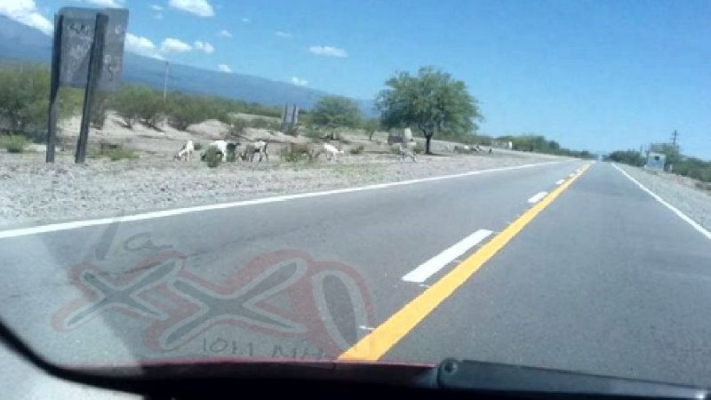 La gente pide que vuelva la policía montada