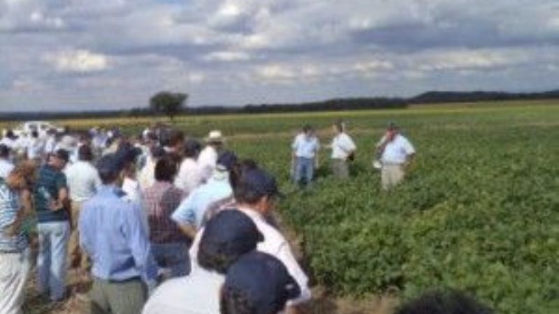Descartan ampliar el límite al reintegro del 5% para los productores del norte