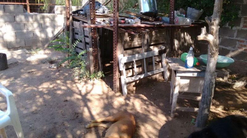 Pide ayuda tras ser desalojado en Recreo