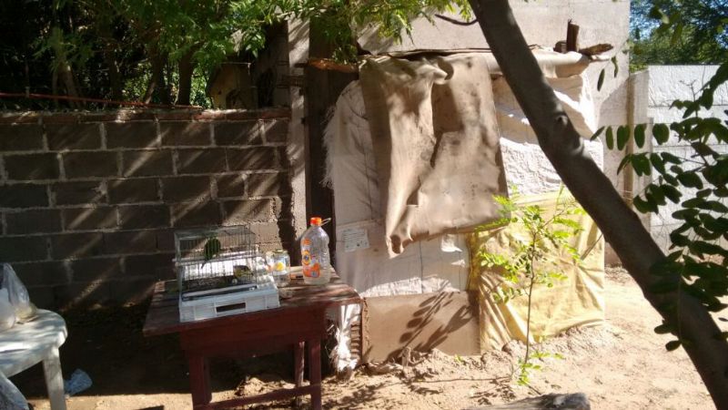 Pide ayuda tras ser desalojado en Recreo