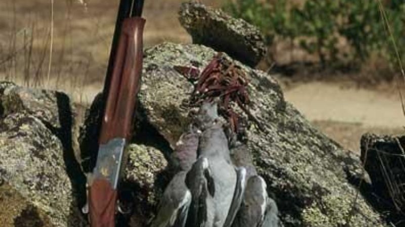 Buscan a un niño y un joven que salieron a cazar y no regresaron