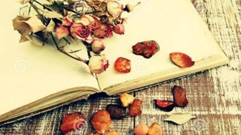 “Andalgalá, pucará de las letras”