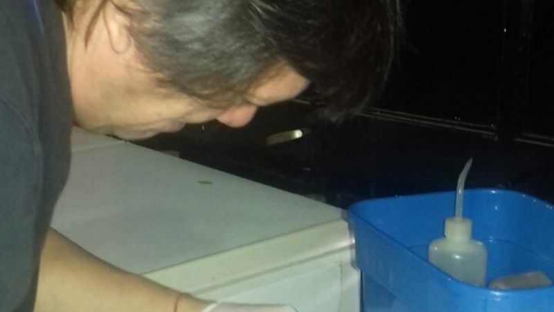 Clausuran un local de comidas por la denuncia de un vecino