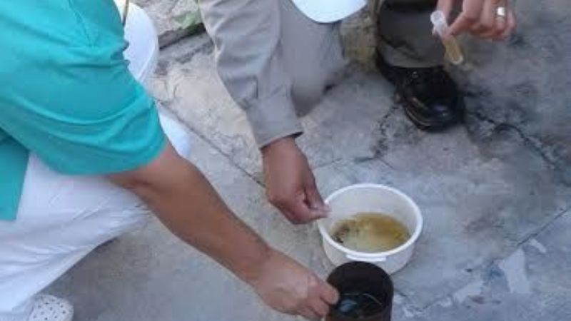 Sigue la vigilancia y continúa con el control focal