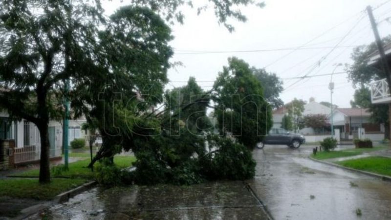 Evacuados, más de 100 árboles caídos, y alertas por trombas marinas en la Costa Atlántica