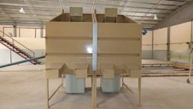 Se pondrá en marcha la planta procesadora de nuez