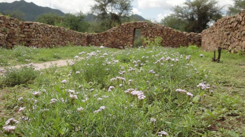 Capacitación para guías de El Shincal