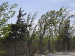 Alerta amarilla por fuertes vientos en gran parte de Catamarca