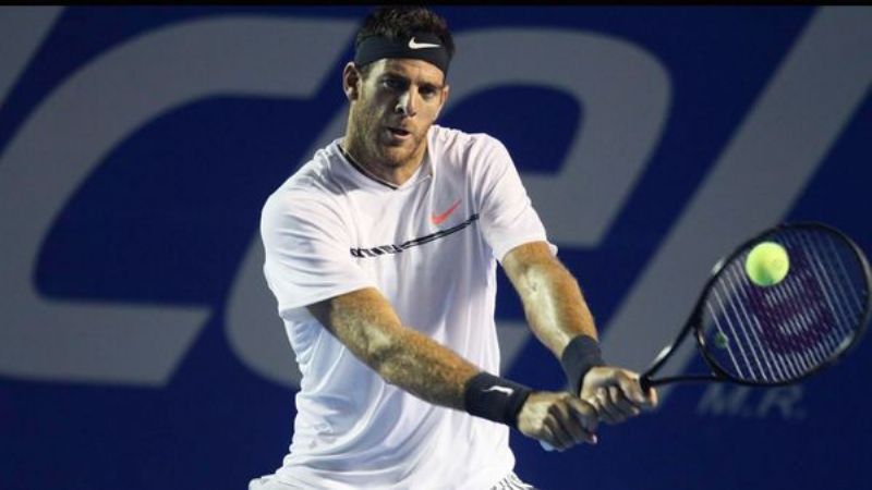 Del Potro cayó ante Djokovic