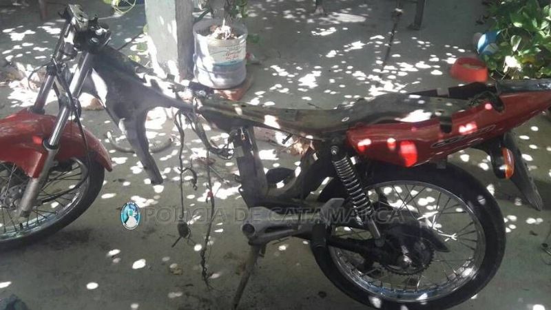 Esclarecen un ilícito e identifican a los presuntos ladrones