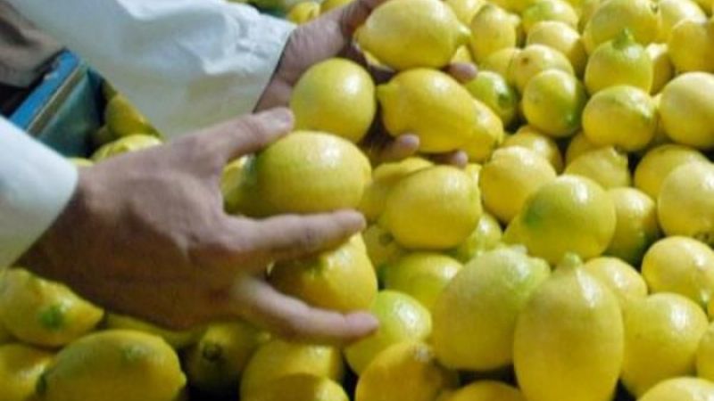 Tucumán cerca de exportar limones a México