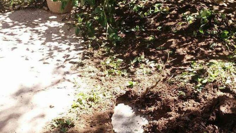 Vecinos le reclaman cloacas al intendente Herrera