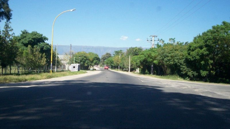Camión chocó con un animal en la ruta 33