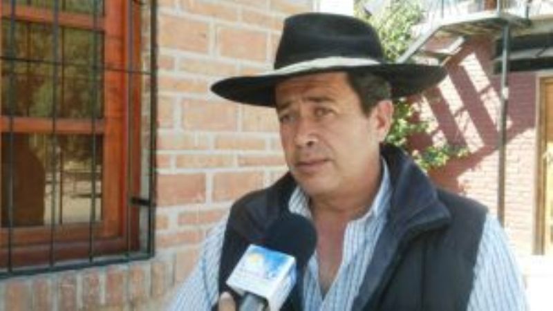 Detectan plaga lobesia botrana en Cafayate