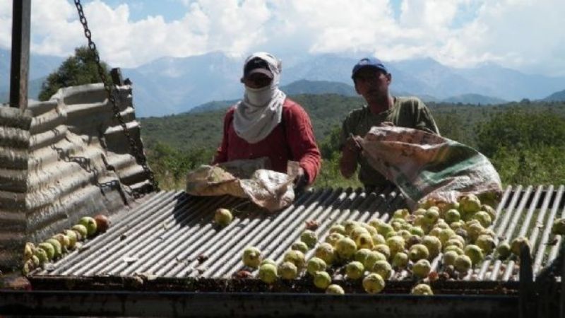 Pedido de productores membrilleros