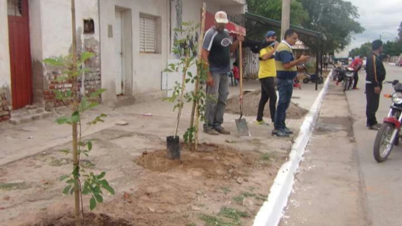 Campaña de reforestación y limpieza en Recreo