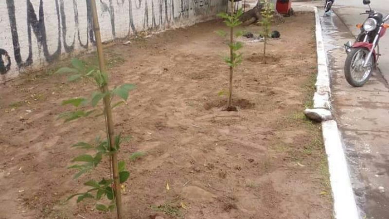 Campaña de reforestación y limpieza en Recreo