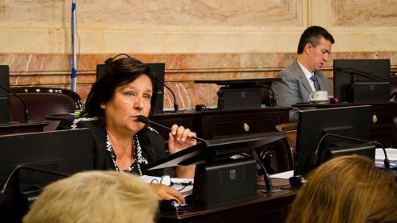 Piden a Nación que declare la Emergencia Climática