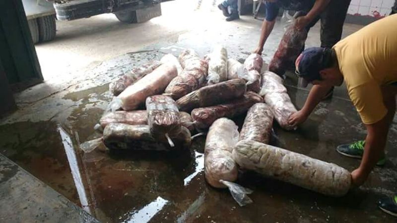 Secuestraron 2300 Kg. de viseras para chacinados