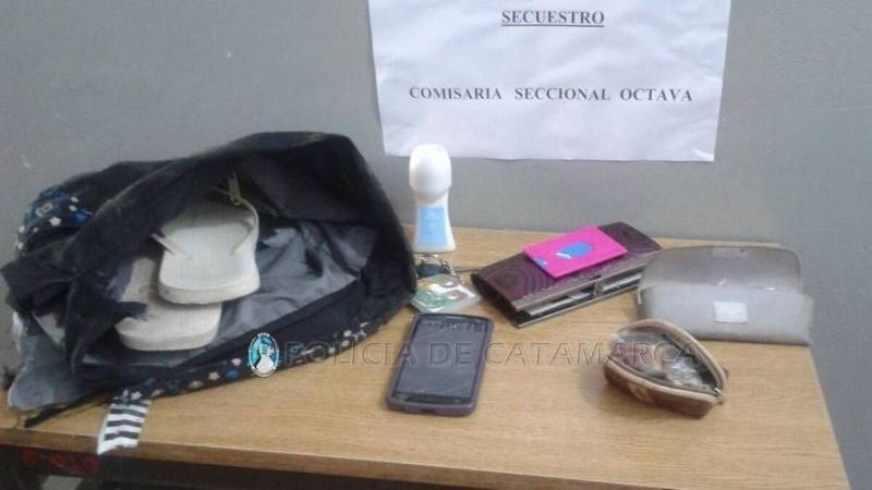 Aprehenden a un arrebatador en el norte