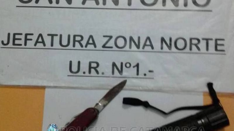 Golpeó a su pareja que estaba con su bebé y atacó a policías