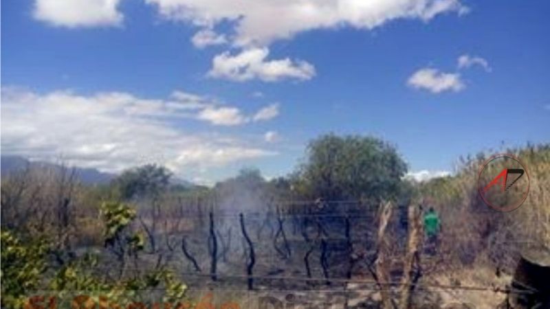 Incendio en un barrio de Fiambalá afectó a un viñedo