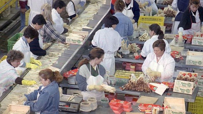 Desempleo de las mujeres llegó a 9,8% en América Latina y el Caribe