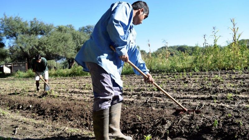 Ponen en marcha una granja y una huerta educativa
