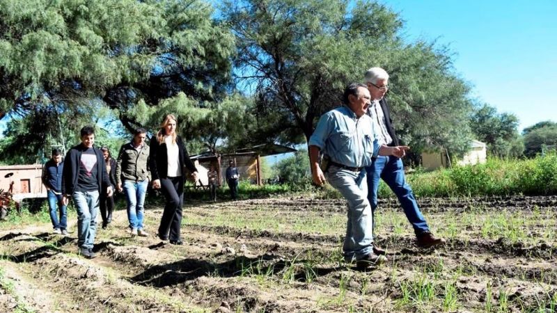 Ponen en marcha una granja y una huerta educativa