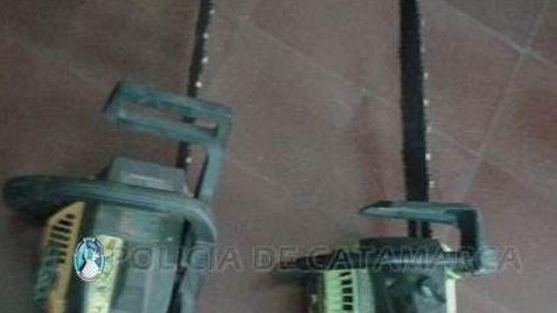 Desbaratan un “desarmadero” y encuentran armas