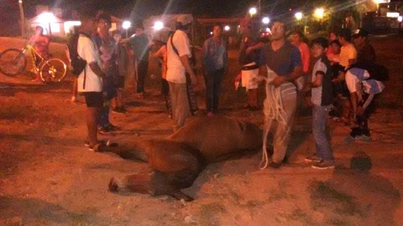 Camioneta embistió un carro y murió un caballo