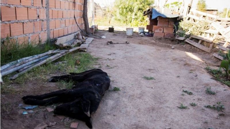 Condenaron a los sujetos por violación en el Magisterio