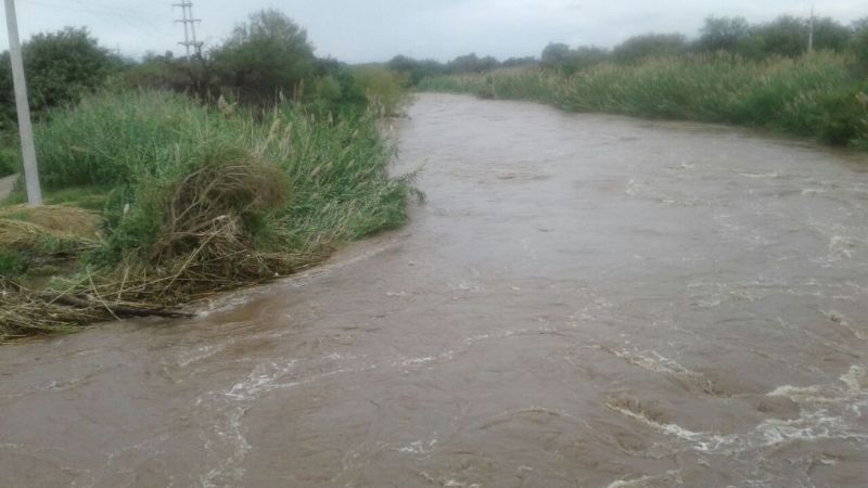 Por los curiosos, debieron desalojar el puente en Polcos