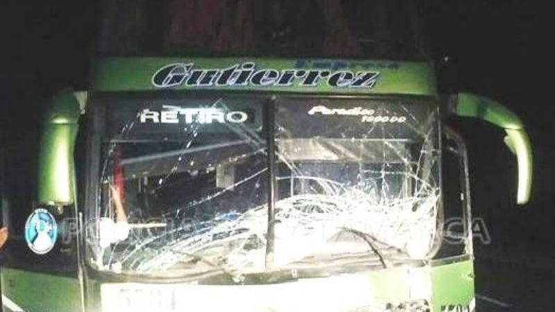 Colectivo chocó contra una vaca