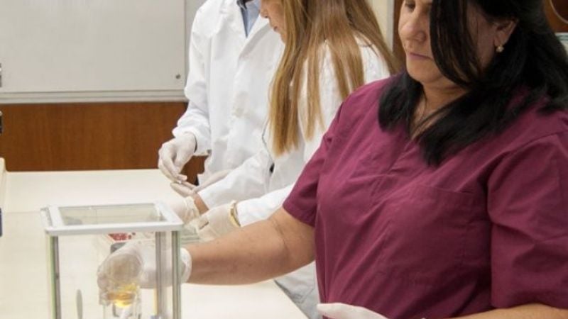 Producen un medicamento de origen natural para la diabetes