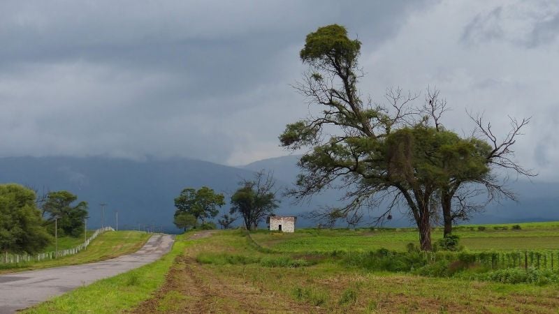 Encontraron muerto a un hombre en una ruta