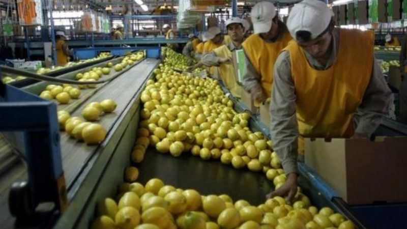 EE.UU. levantará la restricción a la importación de limones