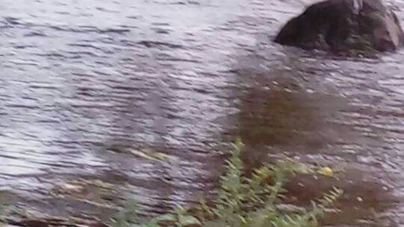 Ríos crecidos en Icaño y Ancasti