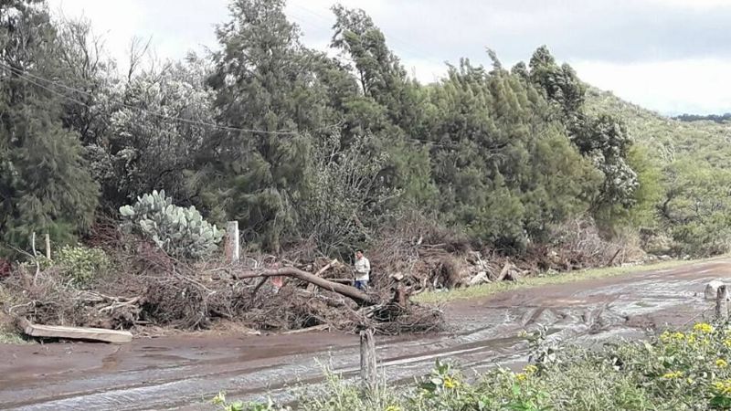 Senadores asistieron a vecinos afectados por el temporal