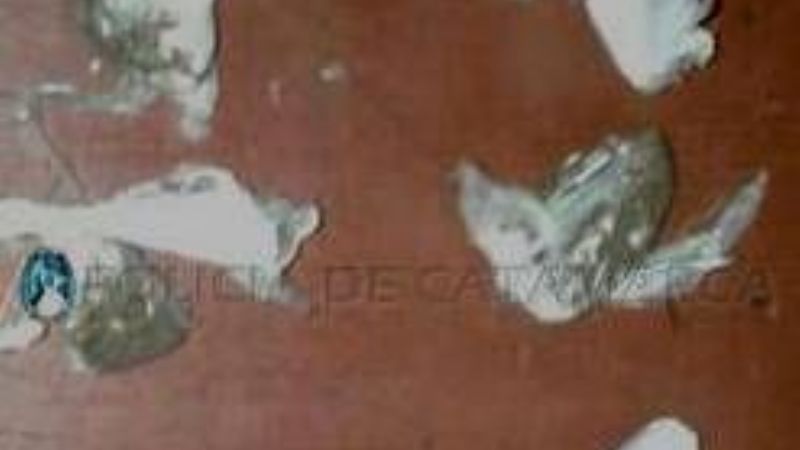 Secuestran droga y arrestan a un joven en Fiambalá